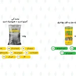 آمینوهیوم آبادیس 18 کیلویی