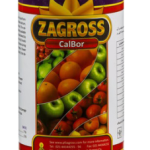 کالبور زاگرس
