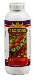 کالبور زاگرس