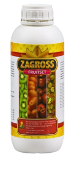 فروت ست زاگرس
