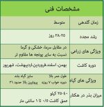 یونجه جیا - تصویر 3